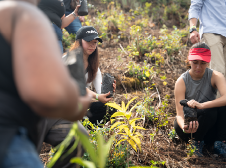 En Grupo OET, sembramos esperanza